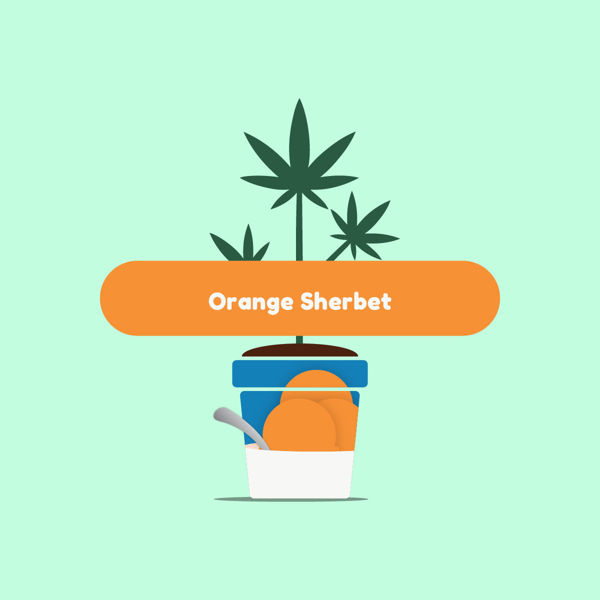 adbrandon-ganja-glam-orange-sherbert