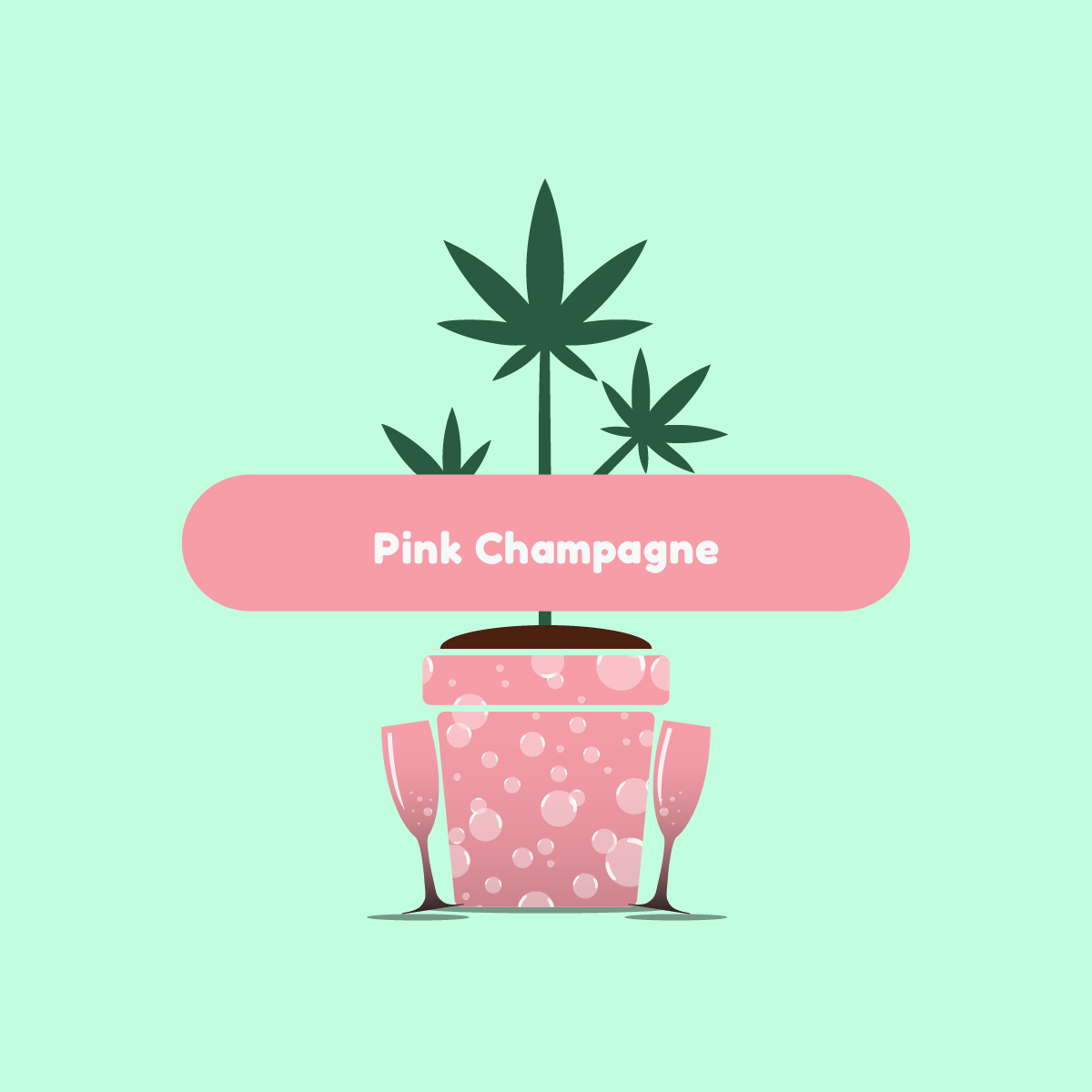 adbrandon-ganja-glam-pink-champagne