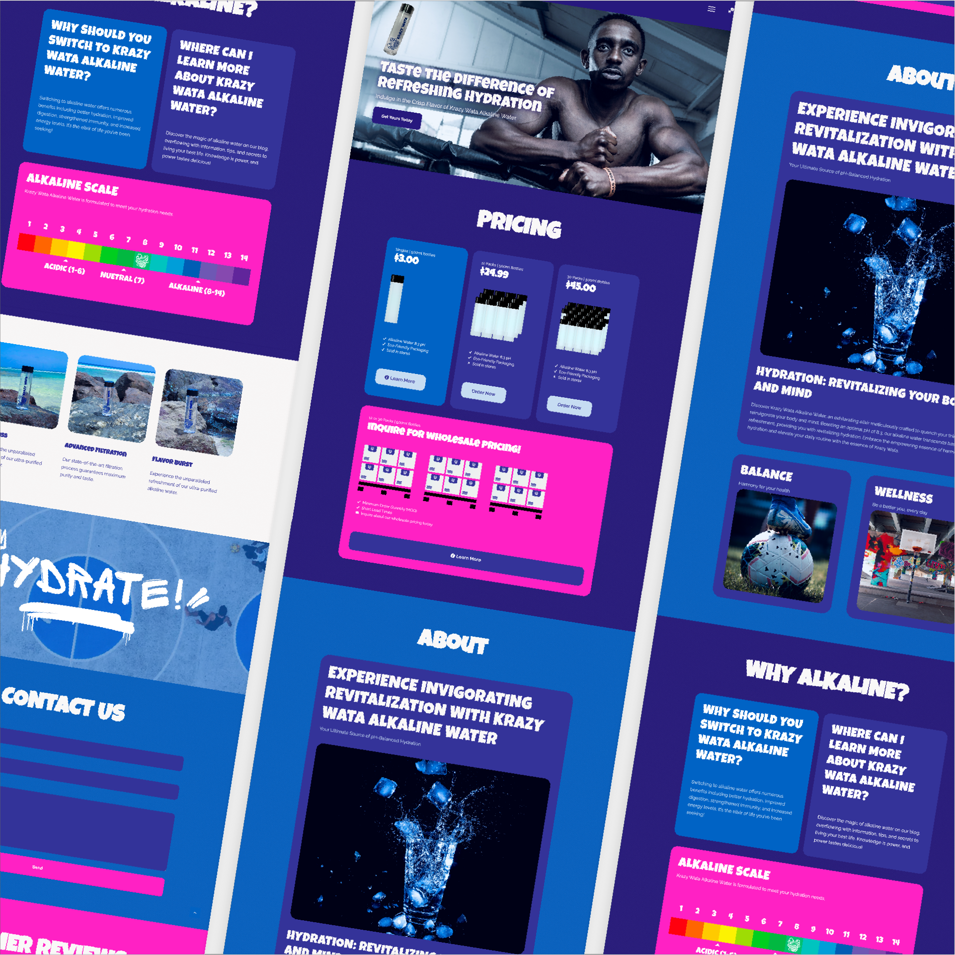 adbrandon-krazy-wata-web-design-2