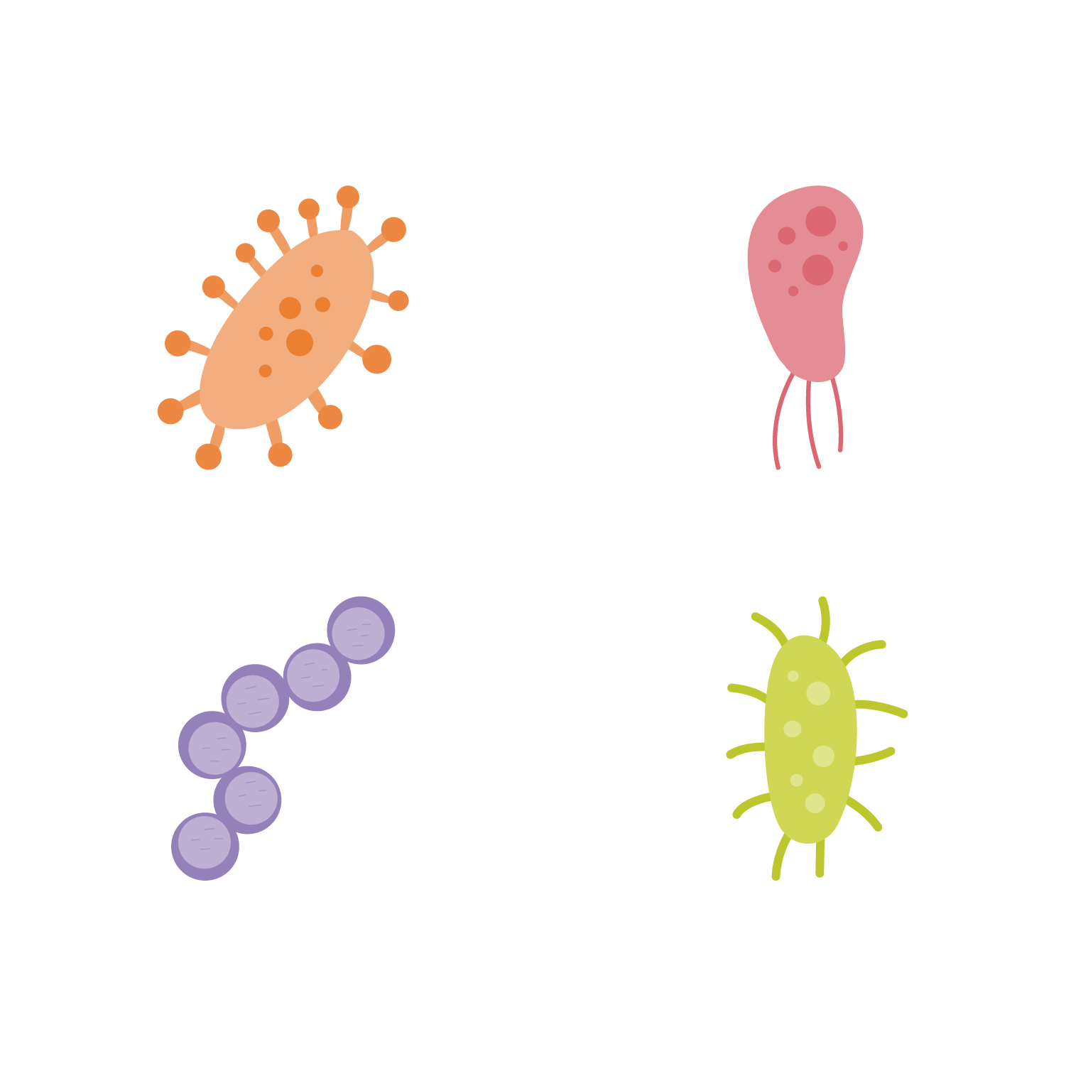 adbrandon-midori-bio-icons-1