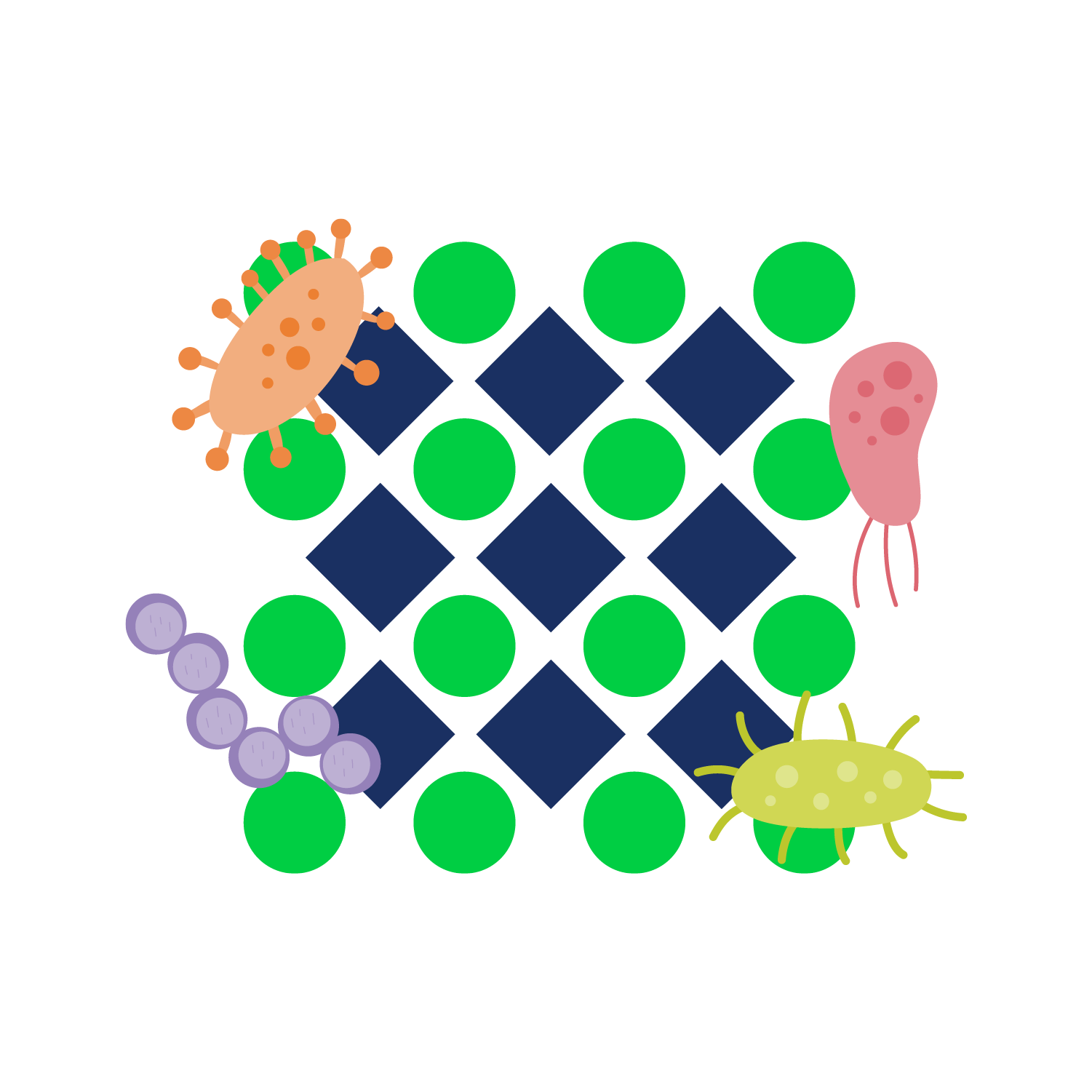 adbrandon-midori-bio-icons-3