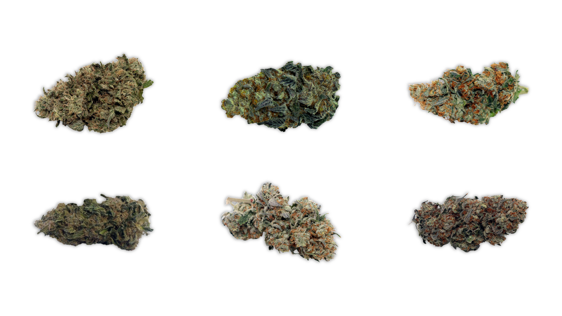 adbrandon-kronic-relief-gtin-shots