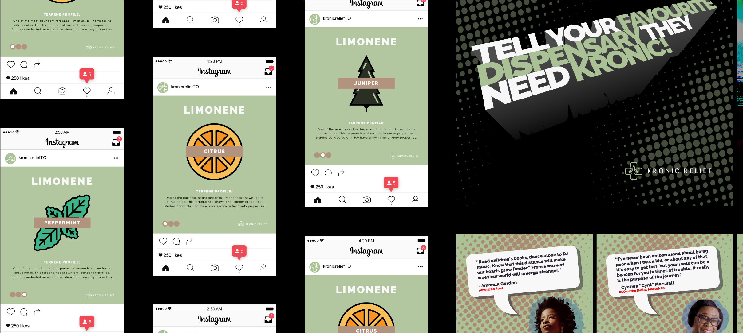 adbrandon-kronic-relief-preview