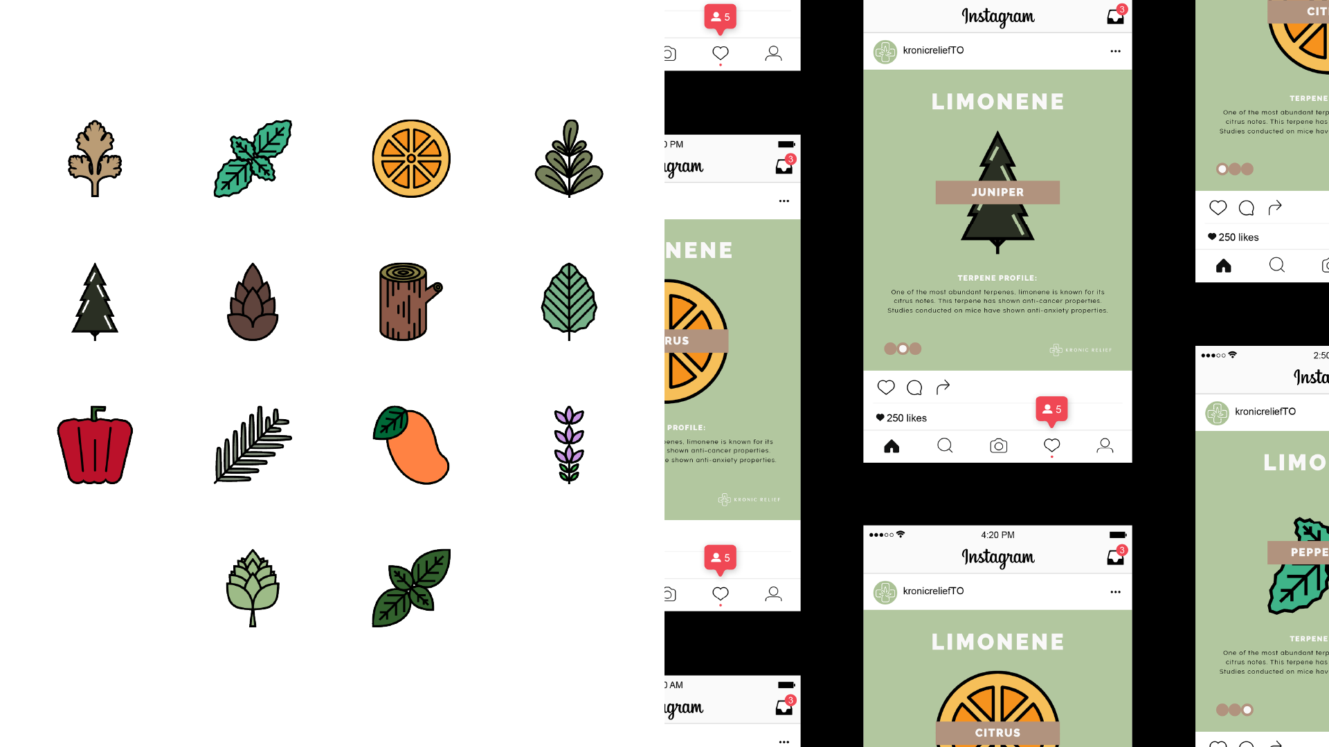 adbrandon-kronic-relief-terpene-icons