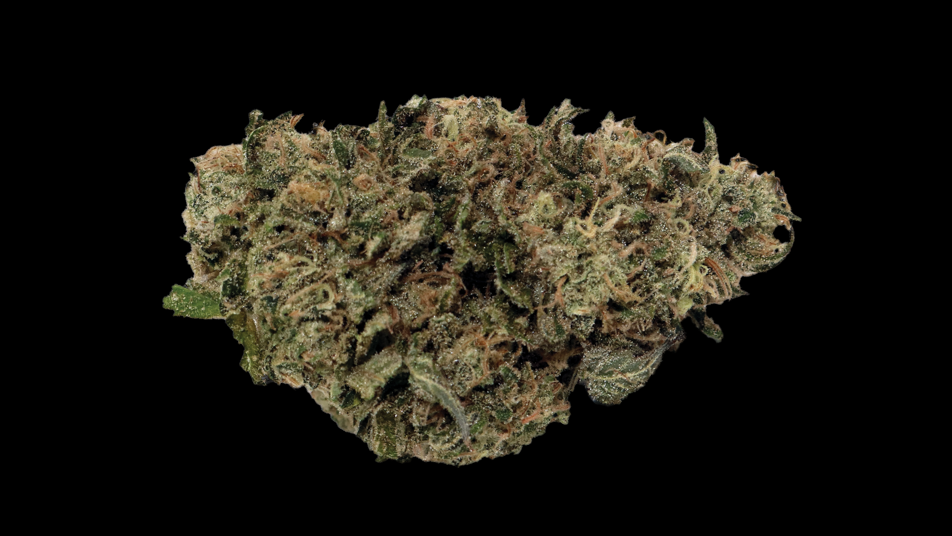 adbrandon-kronic-relief-trainwreck