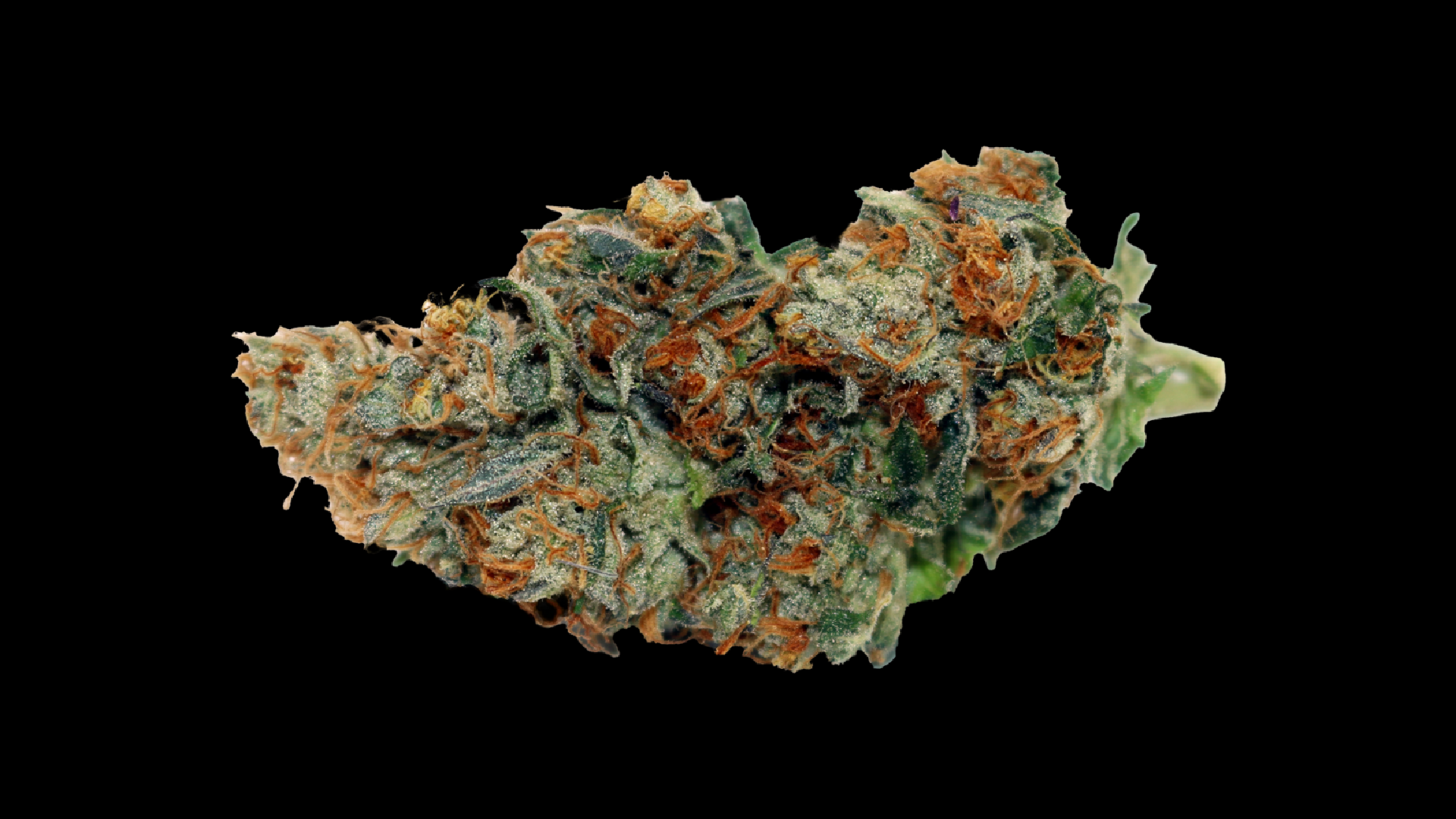 adbrandon-kronic-relief-vanilla-ice