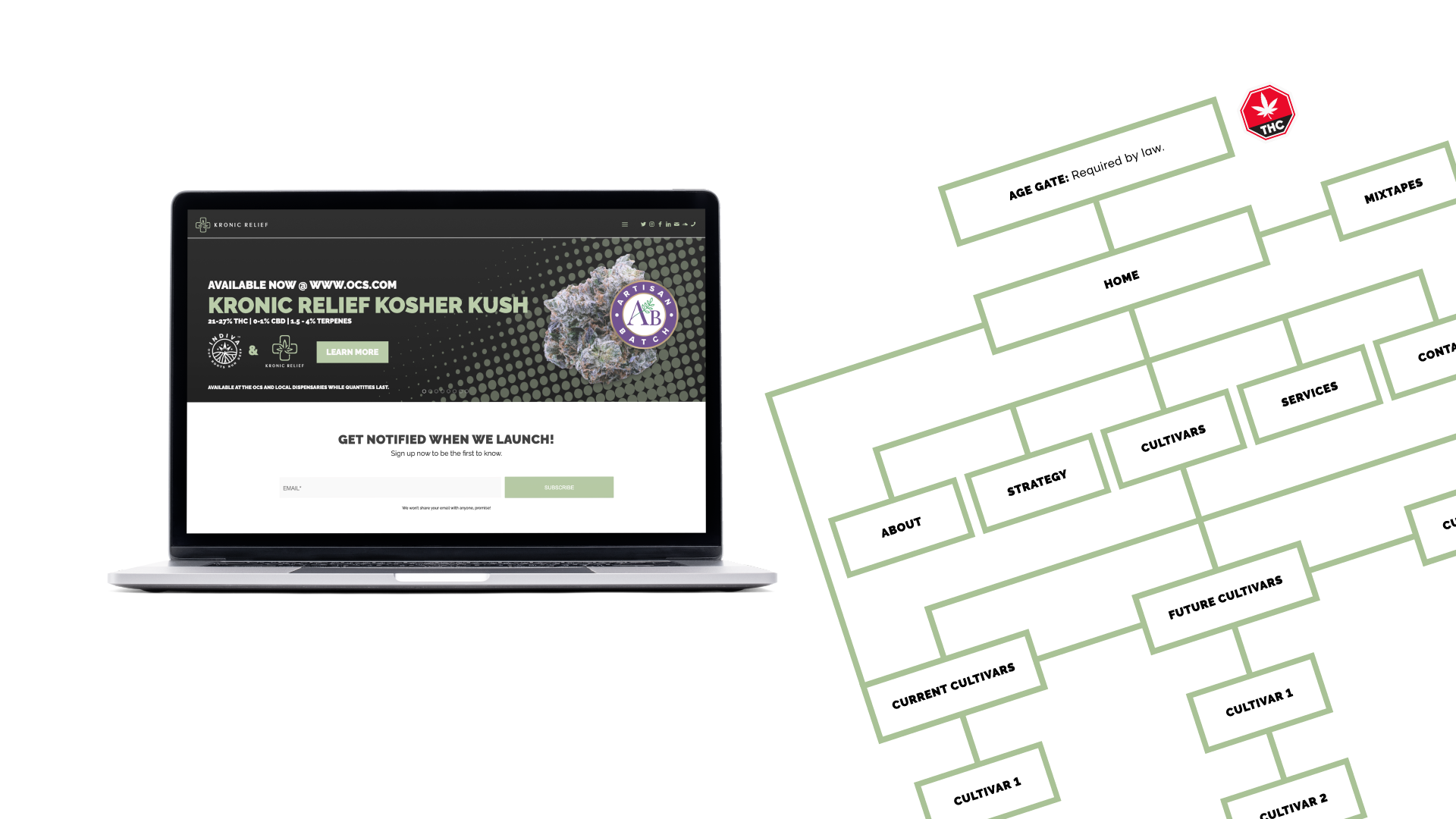 adbrandon-kronic-relief-web-design